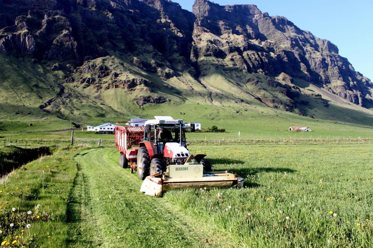 South Iceland Guesthouse Steinar Kültér fotó